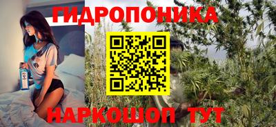 Альфа ПВП Новодвинск