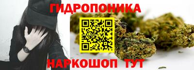 эйфоретик Новокубанск